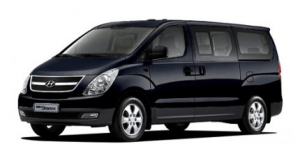 Коврики в салон (2 ряда) Hyundai Grand Starex II 2007-2018 (11 мест/8мест без последнего ряда)*