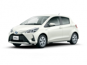 Коврики в салон (2 ряда) Toyota Vitz III (XP130) (правый руль) 2010-2019