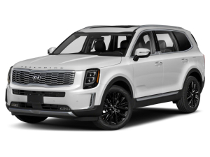 Коврики в салон (2 ряда) Kia Telluride 2019-н.в.