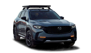 Коврики в салон (2 ряда) Mazda CX-50 2023-н.в.