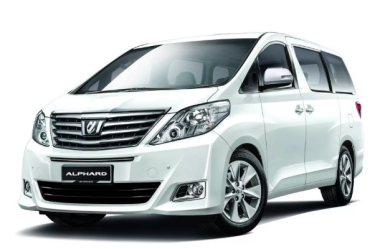 Коврики из экокожи 3D Toyota Alphard II 2008-2014 (H20) (Правый руль) 2 ряд капитан. 6 мест*