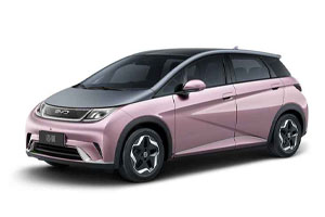 Коврики из экокожи 3D BYD Dolphin 2021-н.в